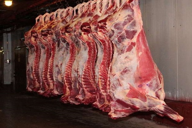 Beef Whole Carcass