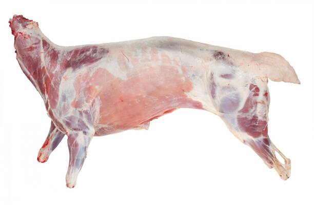 Whole Lamb