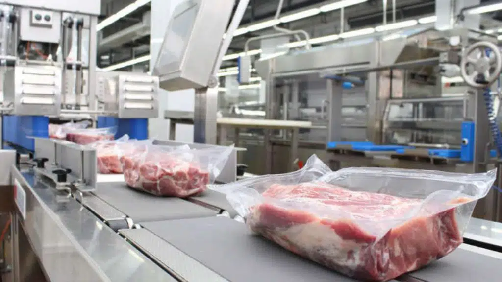  Innovation in Meat Processing: Technology Adoption at NL&SIC